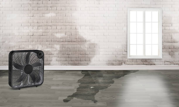 Best Flood damage cleanup  in Union, SC