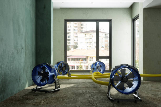 Best Water damage restoration near me  in Union, SC